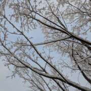 ヒメ日記 2025/08/02 18:50 投稿 まゆ 栃木県デリバリーヘルス　人妻大田原・那須塩原デリヘルクラブ