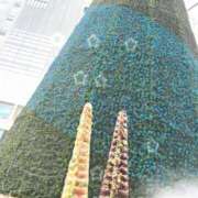 ヒメ日記 2024/12/16 18:43 投稿 あいら KINDAN-禁断-