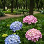 ヒメ日記 2025/06/21 15:57 投稿 真白きき 五反田発 痴漢電車or全裸入室