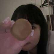 ヒメ日記 2025/07/20 08:24 投稿 ここ CECIL