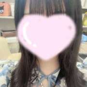 ヒメ日記 2025/08/24 07:01 投稿 ここ CECIL