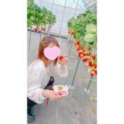 ヒメ日記 2025/01/21 20:43 投稿 流川　なな YUDEN～油殿～堺東店