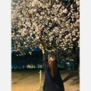 ヒメ日記 2025/04/07 20:50 投稿 流川　なな YUDEN～油殿～堺東店