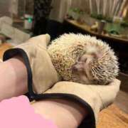 ヒメ日記 2025/06/15 21:02 投稿 くるみ（kurumi） 出張メンズエステ RELAX【DIVAグループ】