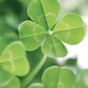 ヒメ日記 2025/12/21 12:16 投稿 ゆかり おいらん(池袋)