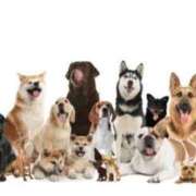 ヒメ日記 2025/12/13 14:53 投稿 るなん 奥様特急三条店