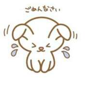 ヒメ日記 2025/09/11 08:50 投稿 ここあ 素人系イメージSOAP彼女感大宮館