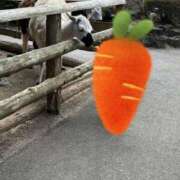 ヒメ日記 2025/02/02 09:46 投稿 あんず 熟女の風俗最終章 蒲田店