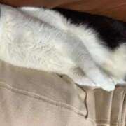 ヒメ日記 2025/09/21 23:40 投稿 あんず 熟女の風俗最終章 蒲田店