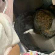 ヒメ日記 2025/09/23 20:20 投稿 あんず 熟女の風俗最終章 蒲田店