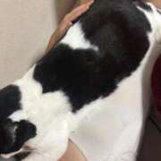 ヒメ日記 2025/10/05 23:01 投稿 あんず 熟女の風俗最終章 蒲田店