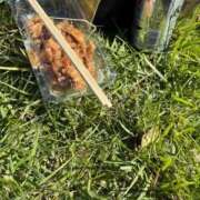 ヒメ日記 2025/11/03 20:57 投稿 あんず 熟女の風俗最終章 蒲田店