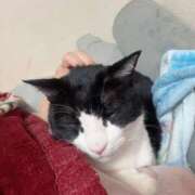 ヒメ日記 2025/11/21 23:20 投稿 あんず 熟女の風俗最終章 蒲田店