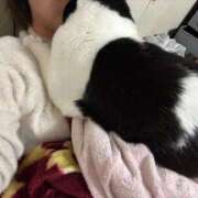 ヒメ日記 2025/11/29 10:40 投稿 あんず 熟女の風俗最終章 蒲田店