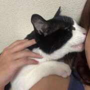 ヒメ日記 2025/11/30 05:20 投稿 あんず 熟女の風俗最終章 蒲田店