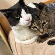 ヒメ日記 2025/11/30 23:01 投稿 あんず 熟女の風俗最終章 蒲田店