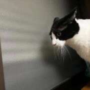 ヒメ日記 2025/12/10 13:31 投稿 あんず 熟女の風俗最終章 蒲田店