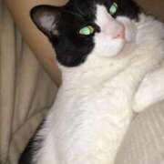 ヒメ日記 2025/12/11 19:00 投稿 あんず 熟女の風俗最終章 蒲田店