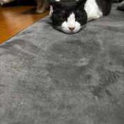 あんず 出勤します！ 熟女の風俗最終章 蒲田店