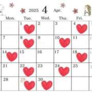 ヒメ日記 2025/04/04 13:14 投稿 メノウ/Meno 英國屋（金津園）