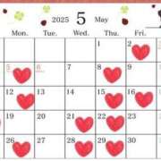 ヒメ日記 2025/04/15 12:24 投稿 メノウ/Meno 英國屋（金津園）