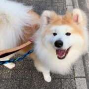 ヒメ日記 2025/05/18 18:44 投稿 メノウ/Meno 英國屋（金津園）