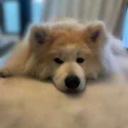 ヒメ日記 2025/08/26 15:24 投稿 メノウ/Meno 英國屋（金津園）