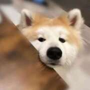 ヒメ日記 2025/09/14 19:54 投稿 メノウ/Meno 英國屋（金津園）