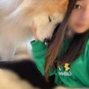 ヒメ日記 2025/11/13 14:14 投稿 メノウ/Meno 英國屋（金津園）