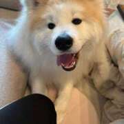 メノウ/Meno 明日出勤です！ 英國屋（金津園）