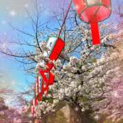 ヒメ日記 2025/04/08 11:45 投稿 りこ 品川ミセスアロマ（ユメオト）