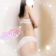 ヒメ日記 2025/04/24 14:22 投稿 りこ 品川ミセスアロマ（ユメオト）