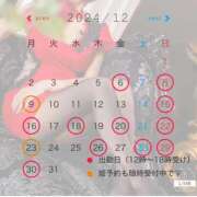 ヒメ日記 2024/12/14 22:02 投稿 星野 パンドラ（吉原）