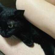 ヒメ日記 2025/03/26 21:04 投稿 星野 パンドラ（吉原）