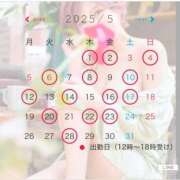 ヒメ日記 2025/04/27 09:00 投稿 星野 パンドラ（吉原）