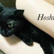 ヒメ日記 2025/09/11 21:01 投稿 星野 パンドラ（吉原）