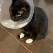 ヒメ日記 2025/11/09 22:15 投稿 星野 パンドラ（吉原）