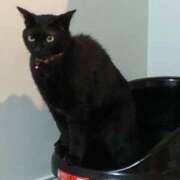 ヒメ日記 2026/02/22 19:02 投稿 星野 パンドラ（吉原）