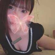 ヒメ日記 2026/02/24 05:50 投稿 ゆか Tokyo fairy land-東京フェアリーランド-