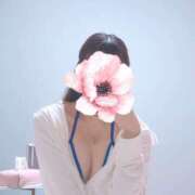 ヒメ日記 2026/03/03 05:05 投稿 ゆか Tokyo fairy land-東京フェアリーランド-