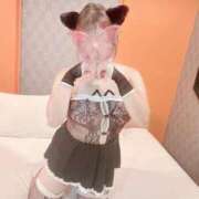 ヒメ日記 2025/12/07 08:01 投稿 あかね 奴隷コレクション