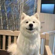 ヒメ日記 2026/03/17 23:02 投稿 ゆうな【関西弁イチャラブ空間】 STELLA TOKYO－ステラトウキョウ－