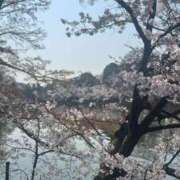 ヒメ日記 2026/04/01 00:49 投稿 ゆうな【関西弁イチャラブ空間】 STELLA TOKYO－ステラトウキョウ－