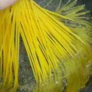 ヒメ日記 2025/10/21 16:45 投稿 ウタ ラブ&ピース 大宮店