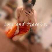 ヒメ日記 2026/04/29 11:01 投稿 ウタ ラブ&ピース 大宮店