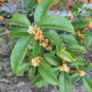 ヒメ日記 2025/11/06 20:07 投稿 清水 ダイヤモンドクラブ