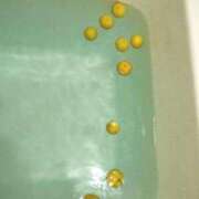 ヒメ日記 2025/12/23 20:17 投稿 清水 ダイヤモンドクラブ