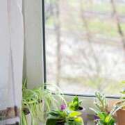 ヒメ日記 2026/04/20 07:17 投稿 清水 ダイヤモンドクラブ