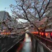 ヒメ日記 2025/04/13 16:55 投稿 なるみ S級しろうと娘