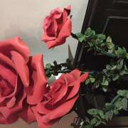 ヒメ日記 2026/01/13 20:47 投稿 音暖（のの） あなたの妻